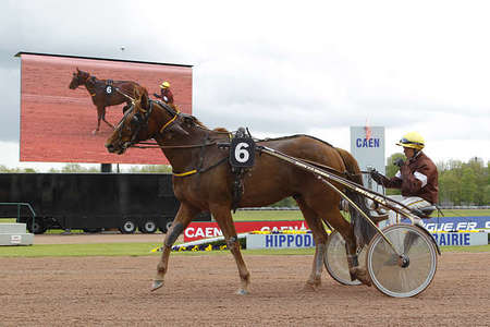 Actualités Hippiques